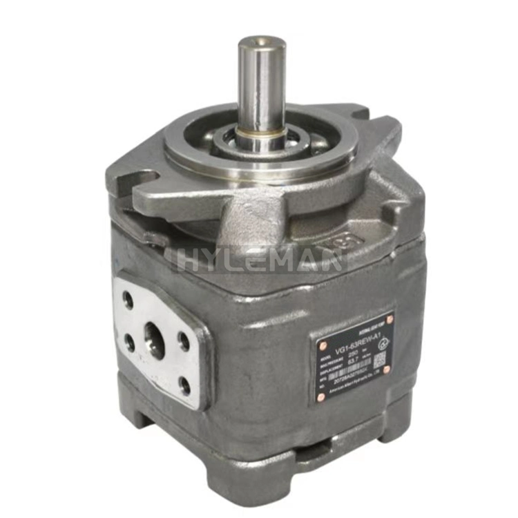 Rexroth Series Equivalent Replacement Pgh-3X Internal Hydraulic Rotary Gear Pump