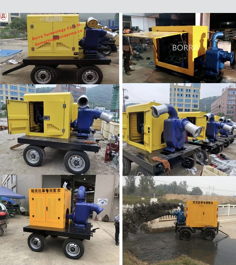 Sewage Treatment Self Priming Pump with Vacuum Assisted System